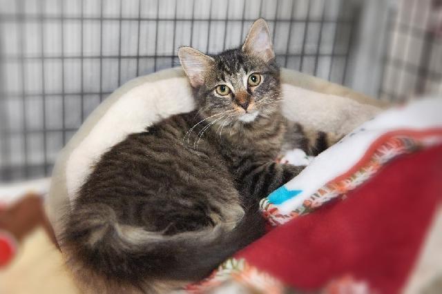 My name is Winthrop and I am ready for adoption. Learn more about me!