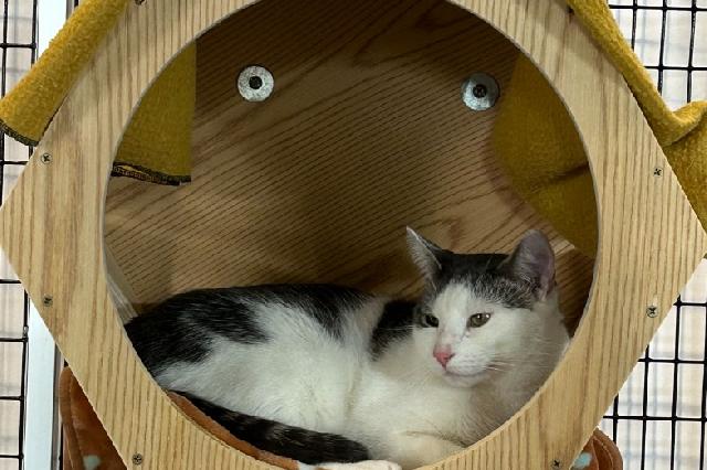 My name at SAFE Haven was Baby Boy and I was adopted!