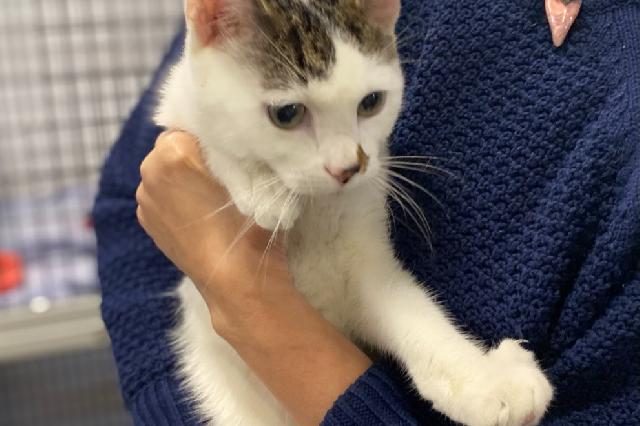 My name at SAFE Haven was Garcia and I was adopted!