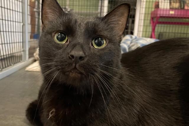 My name at SAFE Haven was Jaredd and I was adopted!