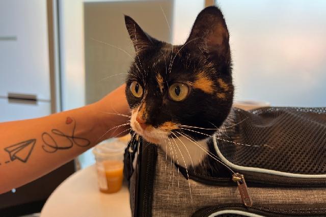 My name at SAFE Haven was Talapia and I was adopted!