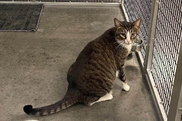 My name is Malcolm and I am ready for adoption. Learn more about me!