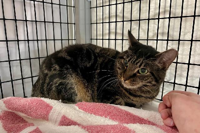 My name is Squishmallow and I am ready for adoption. Learn more about me!