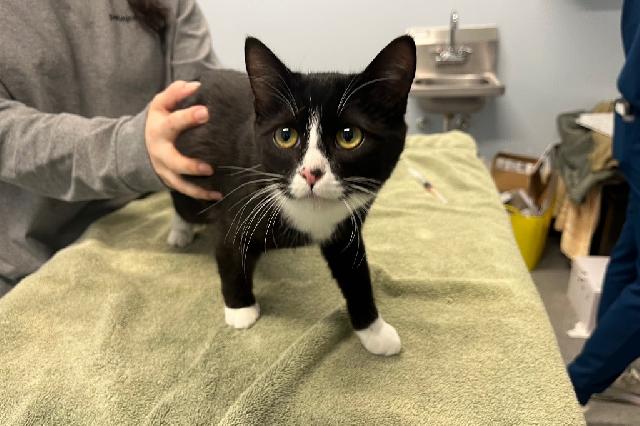 My name at SAFE Haven was Boot-sie and I was adopted!