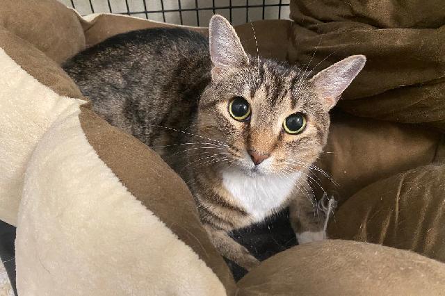 My name at SAFE Haven was I Can't Believe It's Not Butter and I was adopted!