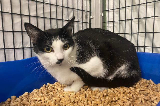My name at SAFE Haven was Petrine and I was adopted!