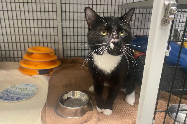 My name is Dae Dae and I am ready for adoption. Learn more about me!