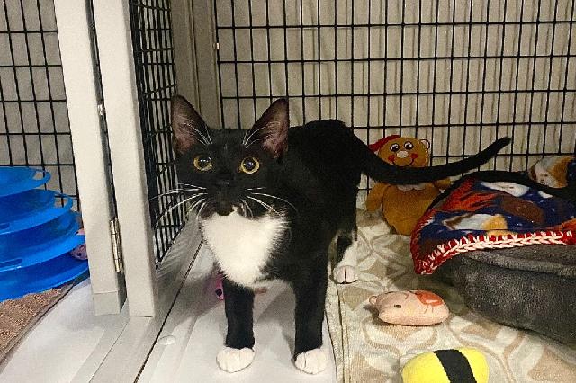 My name is Slippery Elm and I am ready for adoption. Learn more about me!