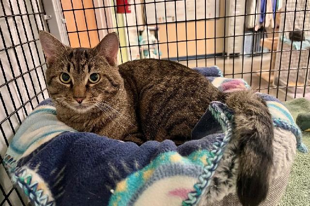 My name is Garry and I am ready for adoption. Learn more about me!