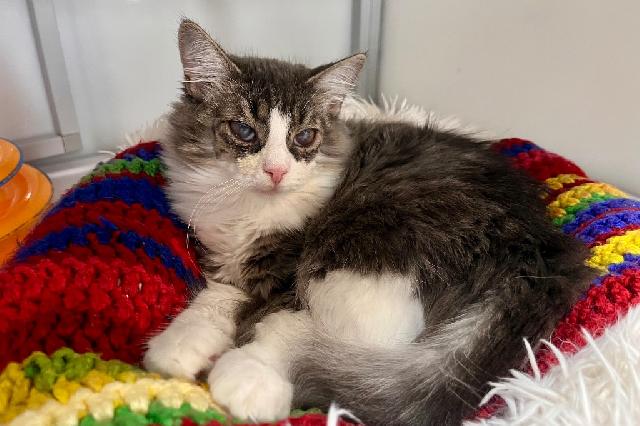 My name at SAFE Haven was Gabrielle and I was adopted!