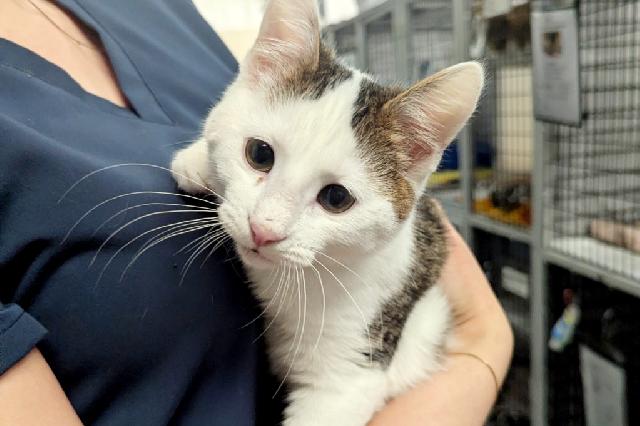 My name is Toucan and I am ready for adoption. Learn more about me!