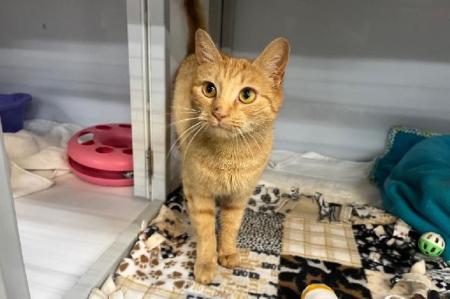 My name is Banana on the Rum and I am ready for adoption. Learn more about me!