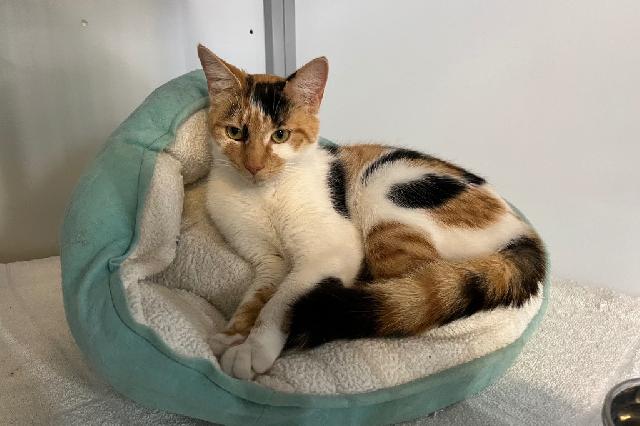 My name at SAFE Haven was Ruth and I was adopted!