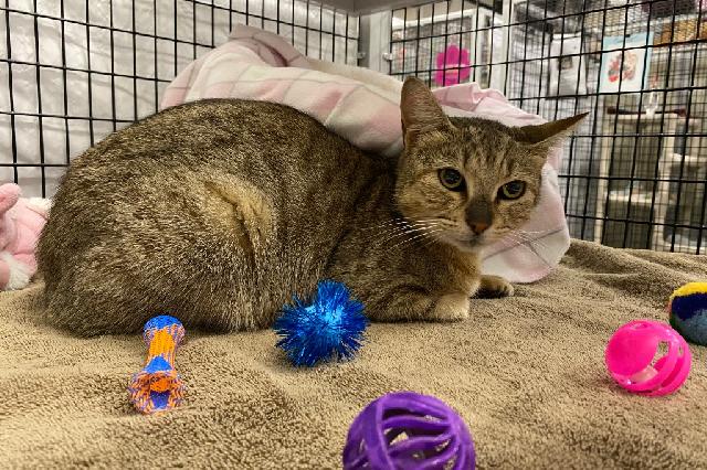 My name is Partridgeberry and I am ready for adoption. Learn more about me!