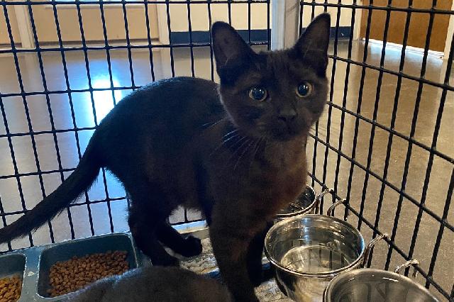 My name is Country Bumpkin and I am ready for adoption. Learn more about me!