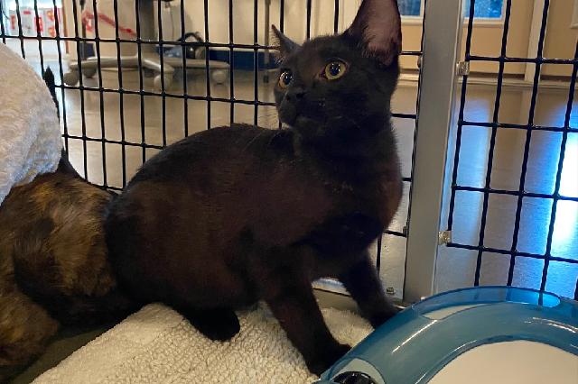 My name is Country Roads and I am ready for adoption. Learn more about me!