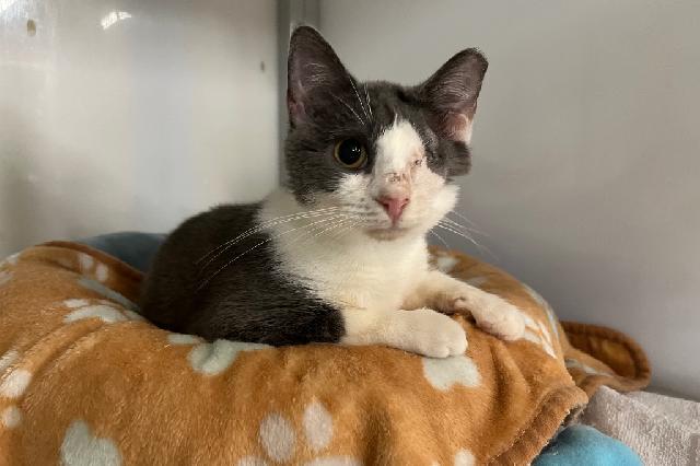 My name at SAFE Haven was Jacqui and I was adopted!