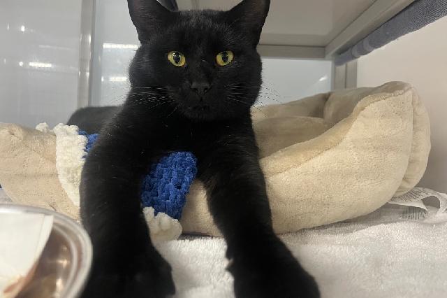 My name at SAFE Haven was Jeans and I was adopted!