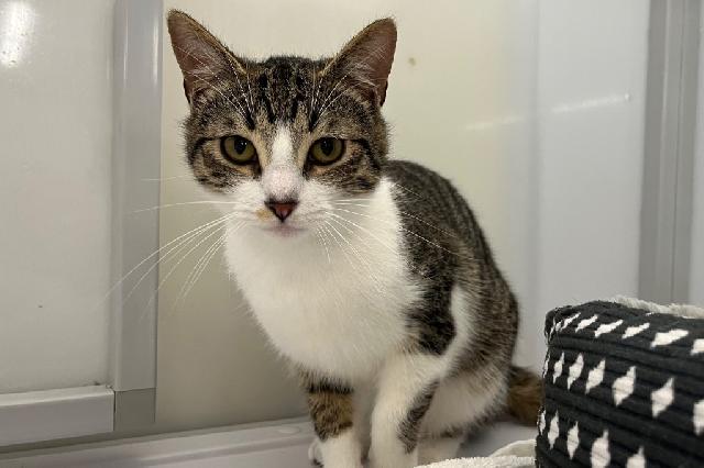 My name is Jerzy and I am ready for adoption. Learn more about me!