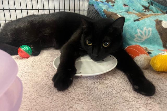 My name is Ednah and I am ready for adoption. Learn more about me!