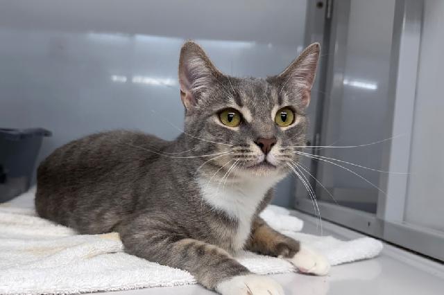 My name is Edgyr and I am ready for adoption. Learn more about me!