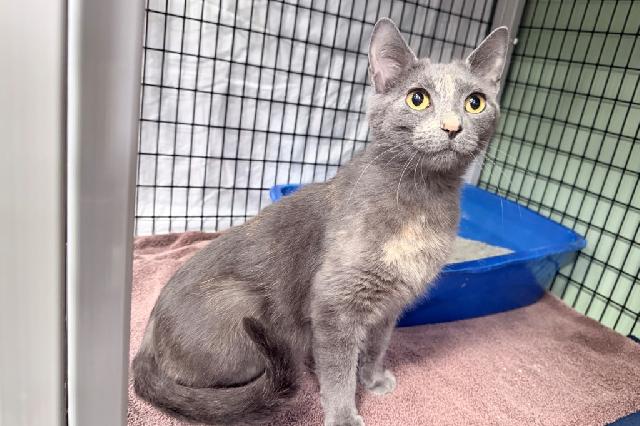 My name is Baby Carrot and I am ready for adoption. Learn more about me!