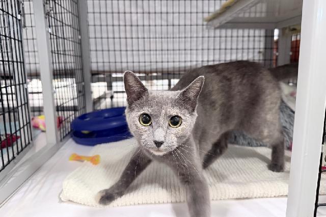 My name is Zurie and I am ready for adoption. Learn more about me!