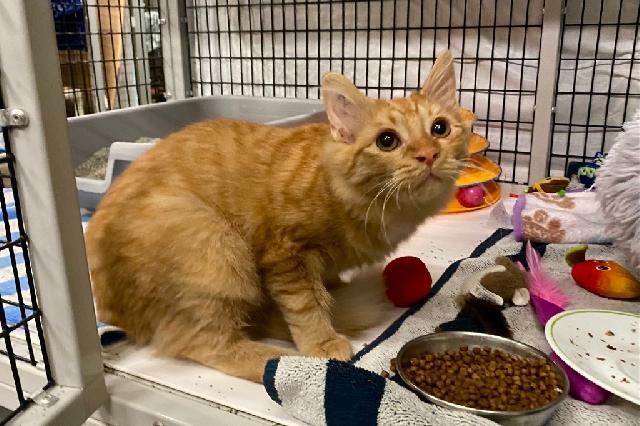 My name at SAFE Haven was Little Zero and I was adopted!