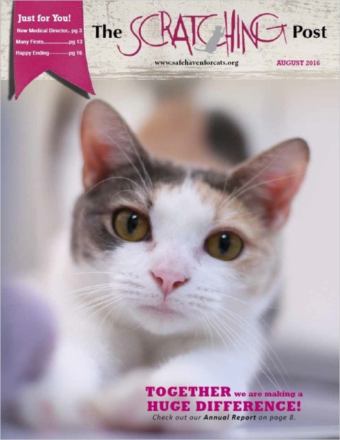 Safe Haven for Cats Newsletter Cover 2016-08