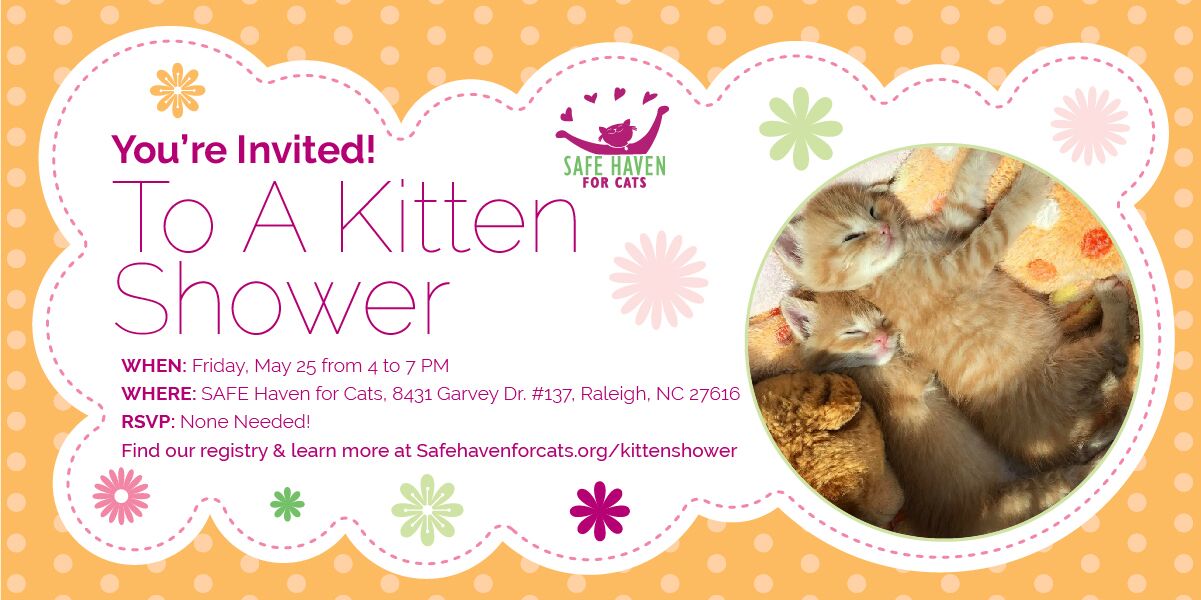 Kitten Shower Invite Event 2018-05-25