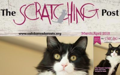 The Scratching Post: March / April 2018