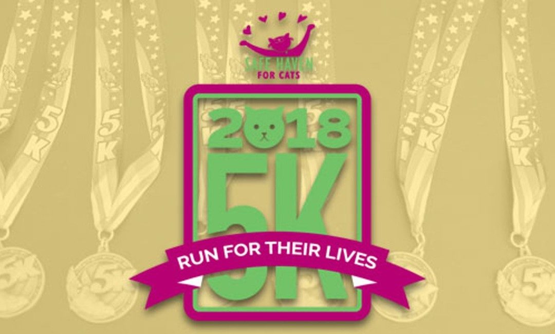Run For Their Lives