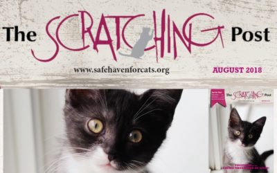 The Scratching Post: August 2018