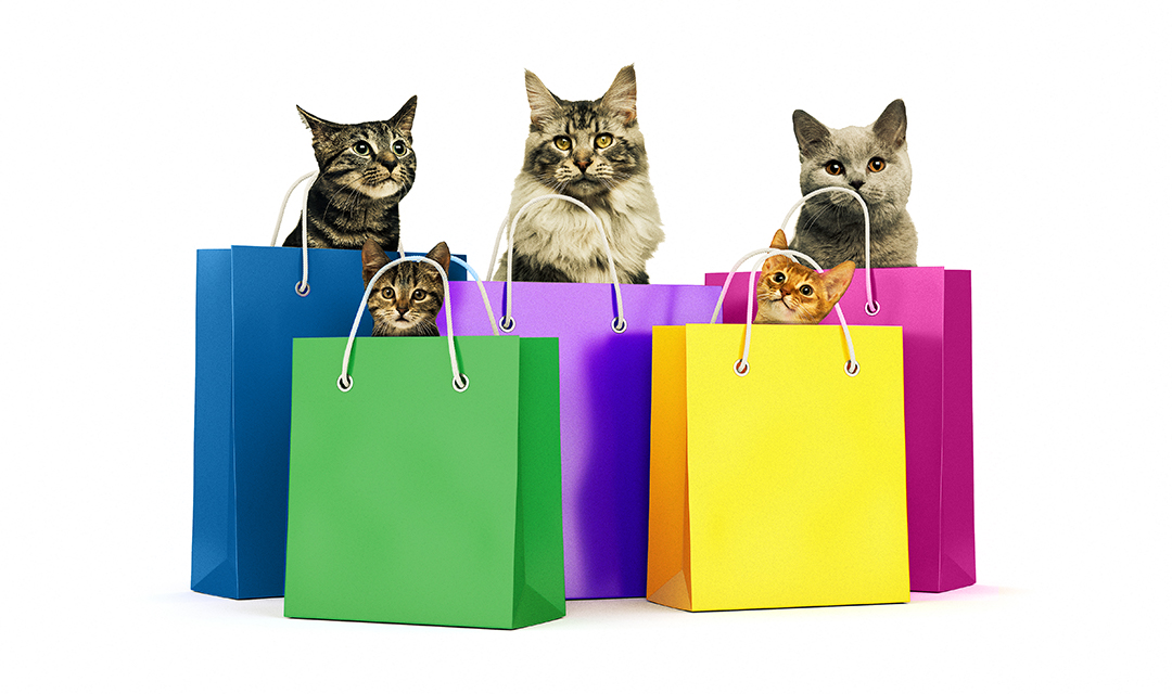 Cats in shopping bags to promote Black Friday Adopition Event