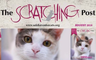 The Scratching Post: August 2016
