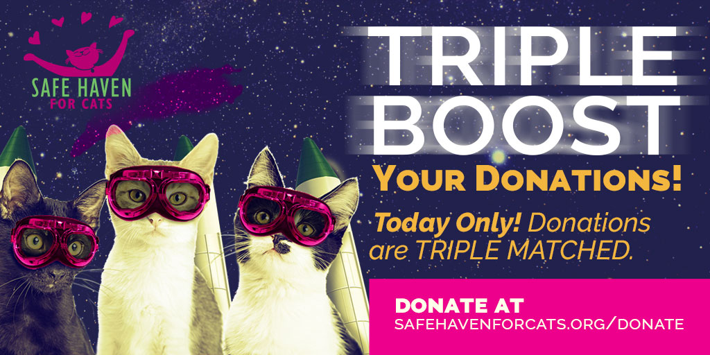 Giving Tuesday Triple Boost Today Only Email Image