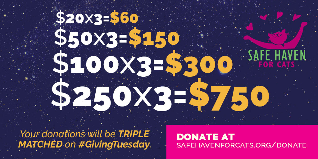 Giving Tuesday Triple Match Math Email Image