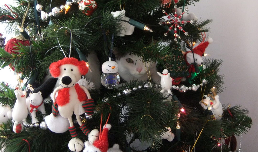 Cat in Christmas Tree