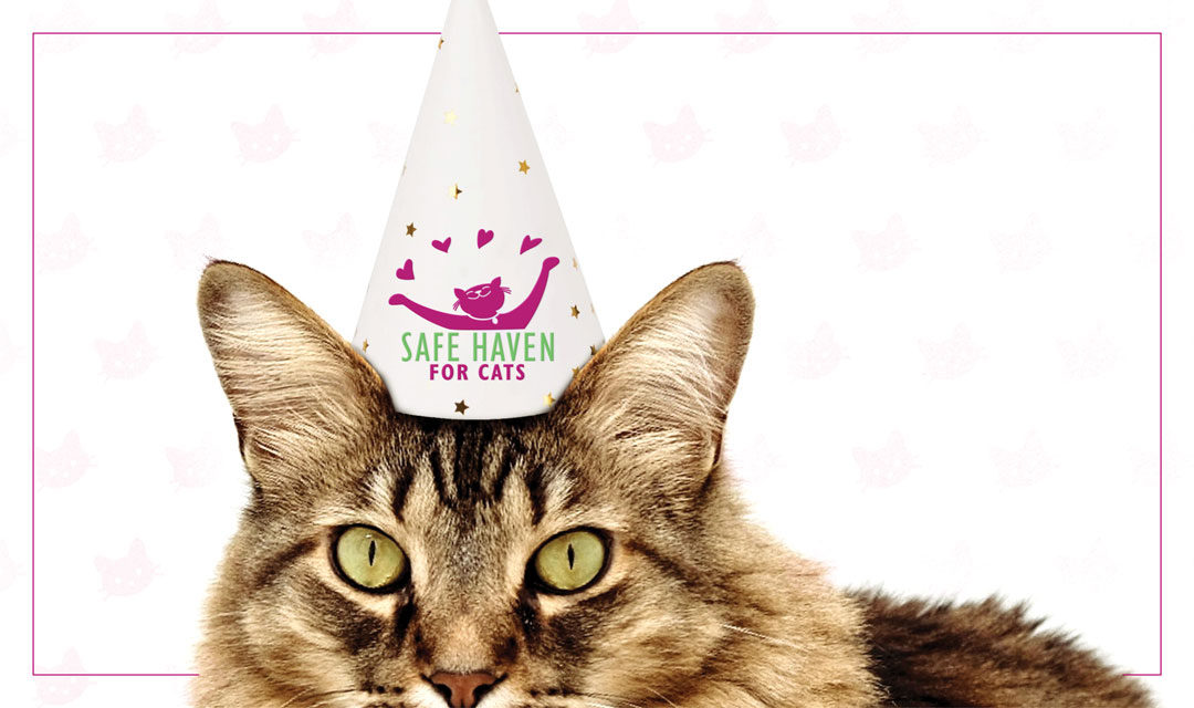 New Year's Adoption Event w/banner featuring cat with party hat featuring SAFE Haven logo