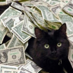 Cat with cash