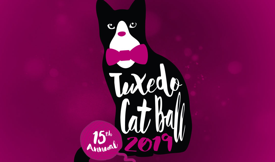 Header with Tuxedo Cat Ball Logo on Pink Background - Tuxedo Cat with Pink Bowtie