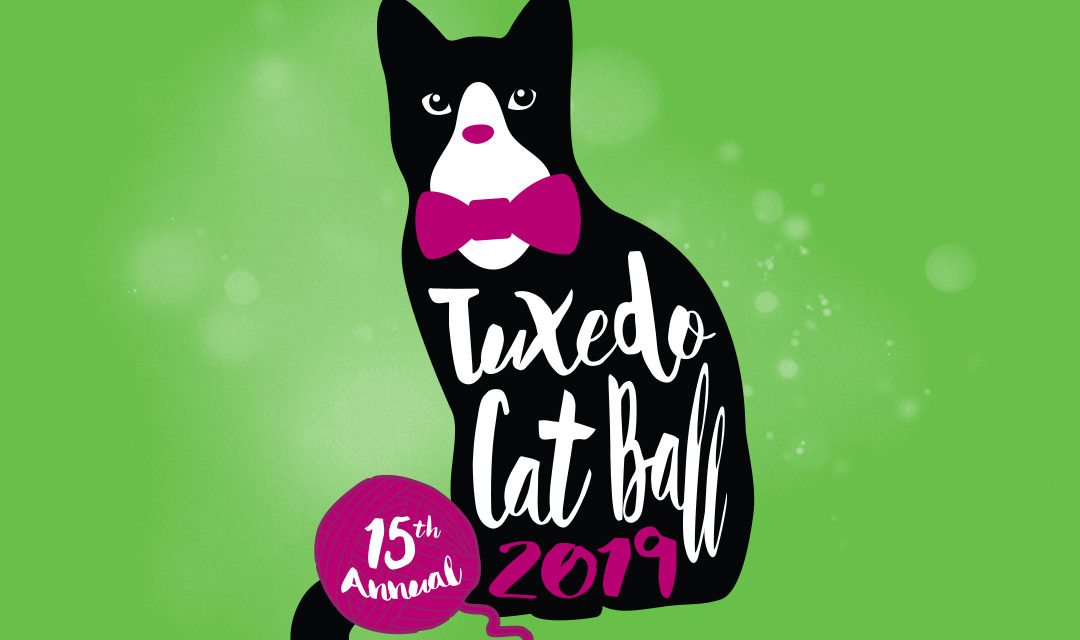 Tuxedo Cat Ball Logo on Green Background - Tuxedo Cat with Pink Bowtie