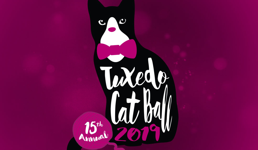 Tuxedo Cat Ball Logo on Pink Background - Tuxedo Cat with Pink Bowtie