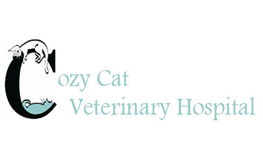 Cozy Cat Veterinary Hospital