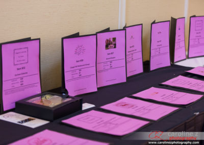 Display of Tuxedo Cat Ball Auction Items