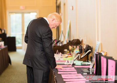 Tuxedo Cat Ball Attendee Looking at Silent Auction Items