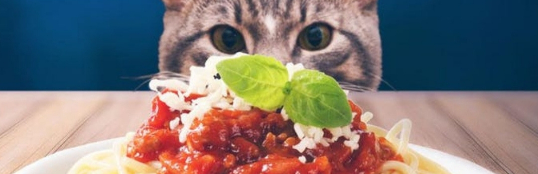 Cat Staring at Plate of Spaghetti