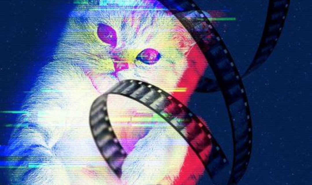 CatVideoFest Banner - Cat With Film Strip Wrapped Around Wrist