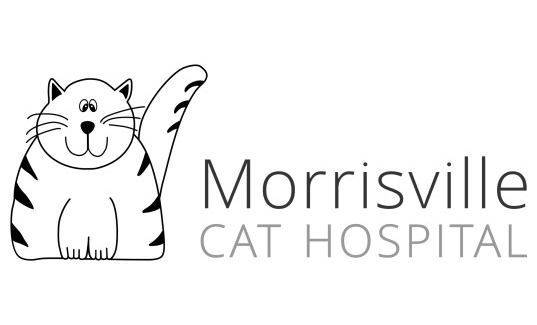 Morrisville Cat Hospital