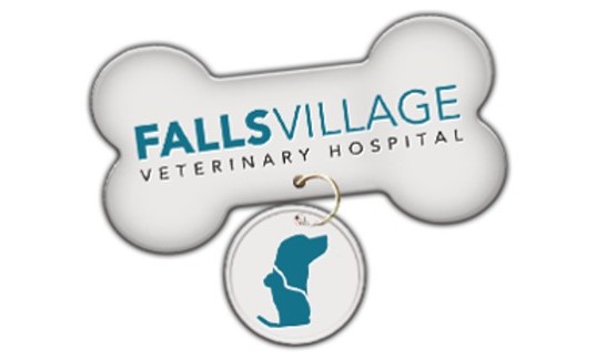 Sustaining Sponsor Falls Village Veterinary Hospital